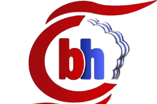 Benhost Nigeria Limited Logo
